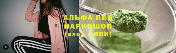 сатива Абаза