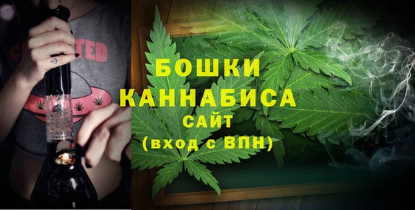 сатива Абаза